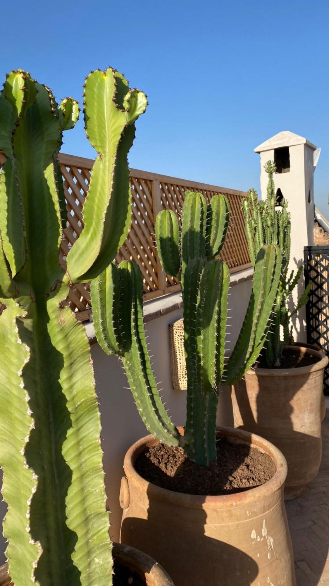 Riad Gasaembre Touareg マラケシュ エクステリア 写真